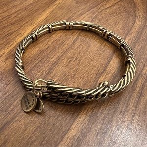Alex and Ani gold bangle - wrap around
